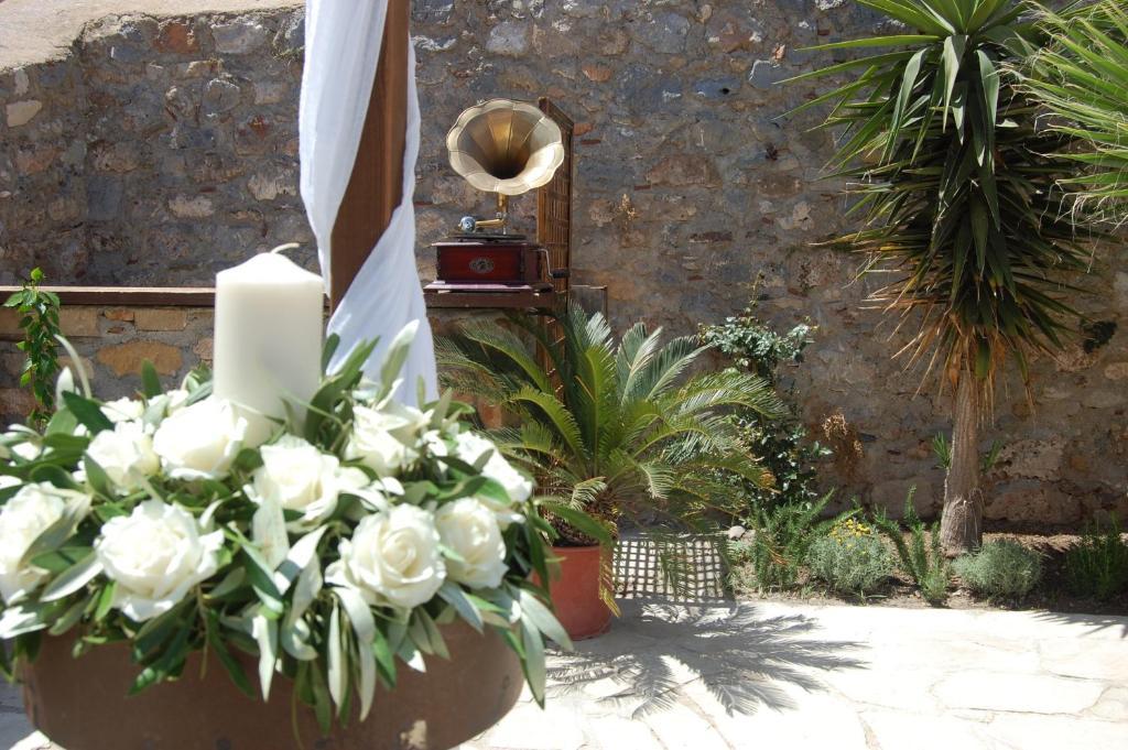 Guest house Kellia 4*